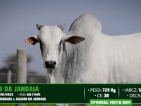 Lote 48