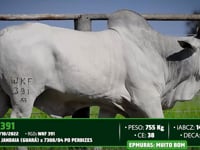 Lote 80