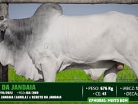 Lote 96
