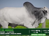 Lote 102