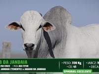 Lote 01
