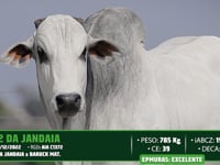Lote 02