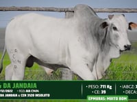 Lote 89