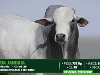 Lote 08