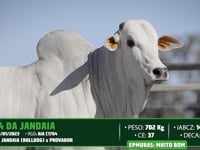 Lote 90