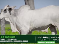 Lote 91