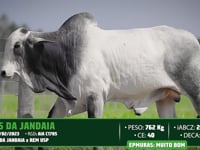 Lote 09