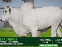 Lote 87