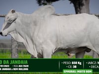 Lote 108