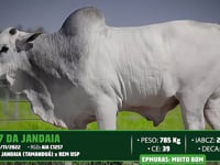 Lote 14