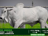 Lote 111