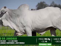 Lote 119
