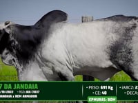 Lote 131