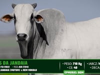 Lote 132
