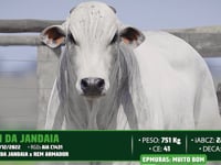 Lote 23