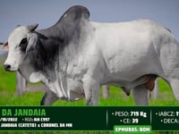 Lote 143
