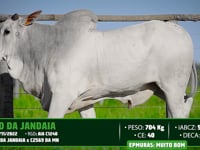 Lote 158