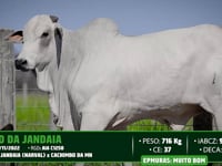 Lote 159