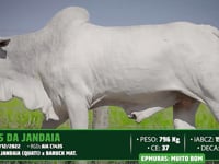 Lote 29
