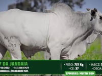 Lote 160