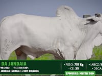 Lote 50