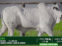 Lote 57