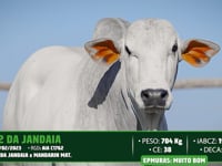 Lote 73
