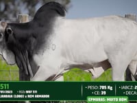 Lote 83