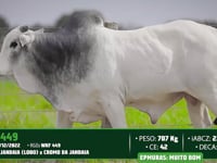 Lote 84
