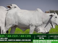 Lote 16