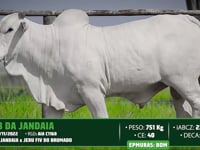 Lote 112