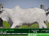Lote 58