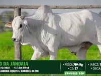 Lote 118