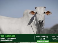 Lote 120
