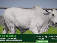 Lote 123