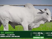 Lote 124