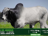 Lote 128