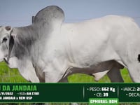 Lote 134