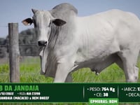 Lote 140