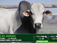 Lote 148