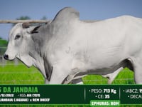 Lote 151