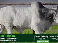 Lote 154