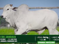 Lote 156