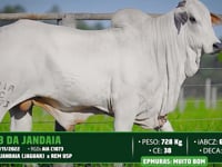 Lote 157