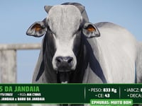Lote 164