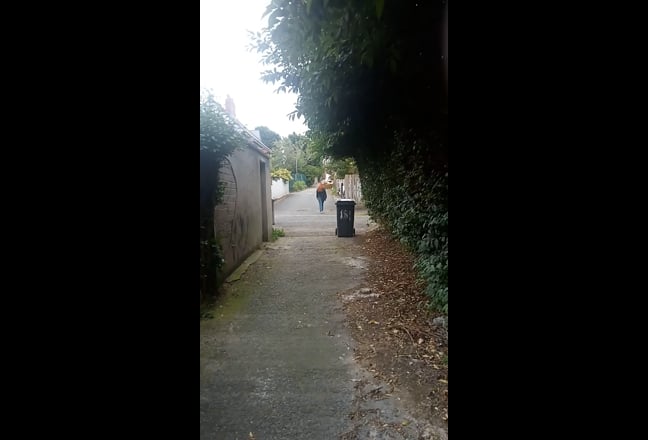 Video 1: small rear garden