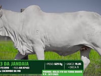Lote 09