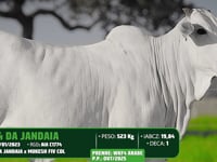 Lote 73