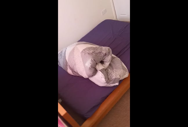 Video 1: