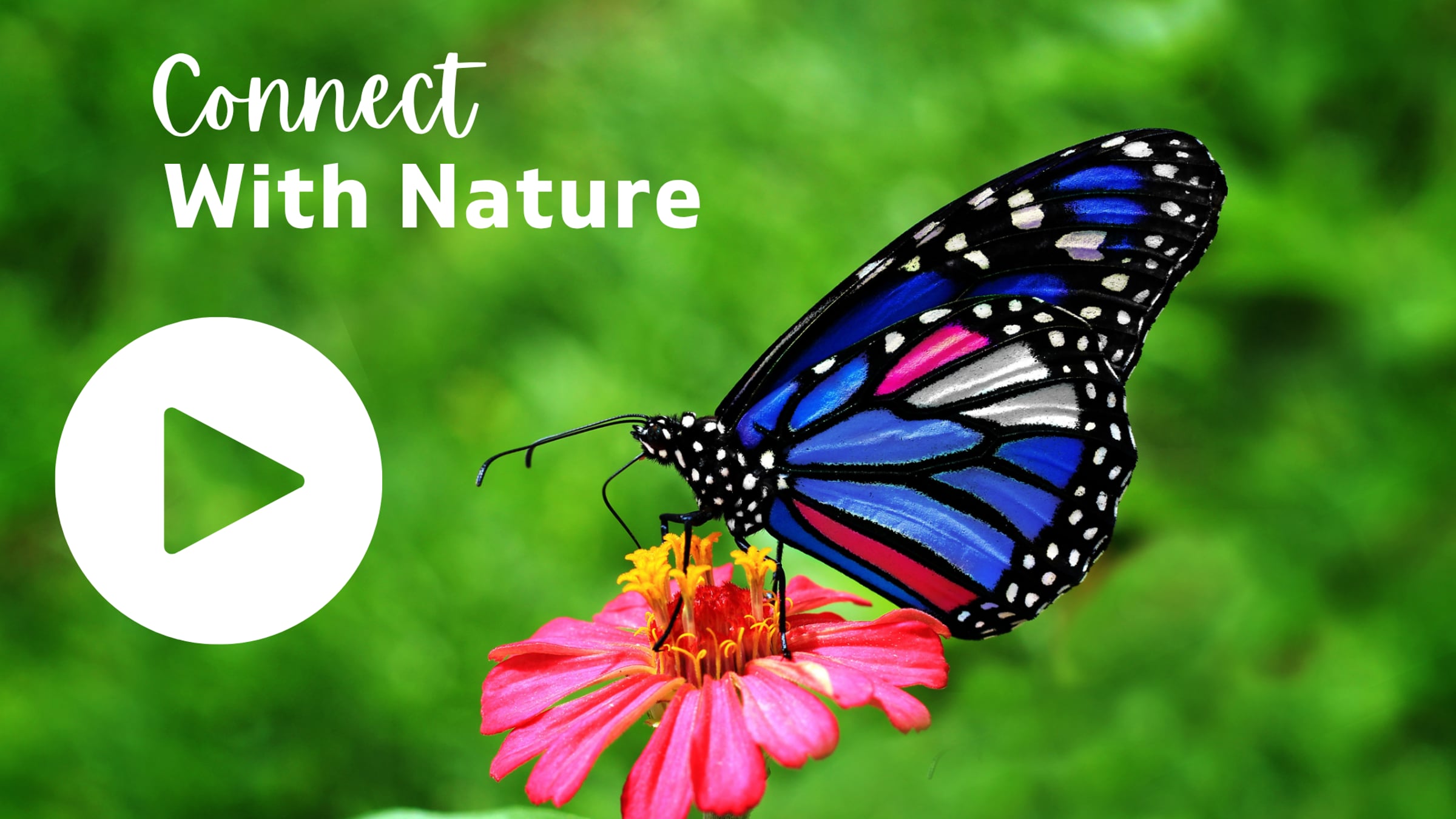 Connect with nature | Videos & Movies on Vimeo